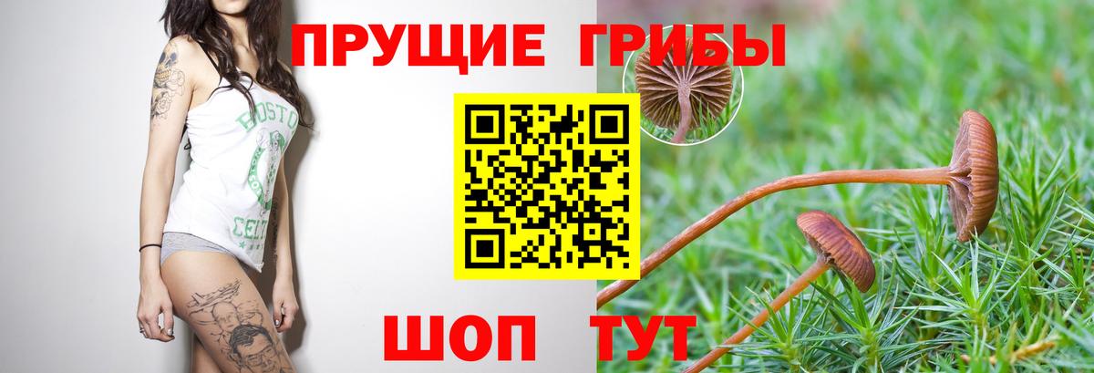 Галлюциногенные грибы прущие грибы  Вход с VPN  Белебей 